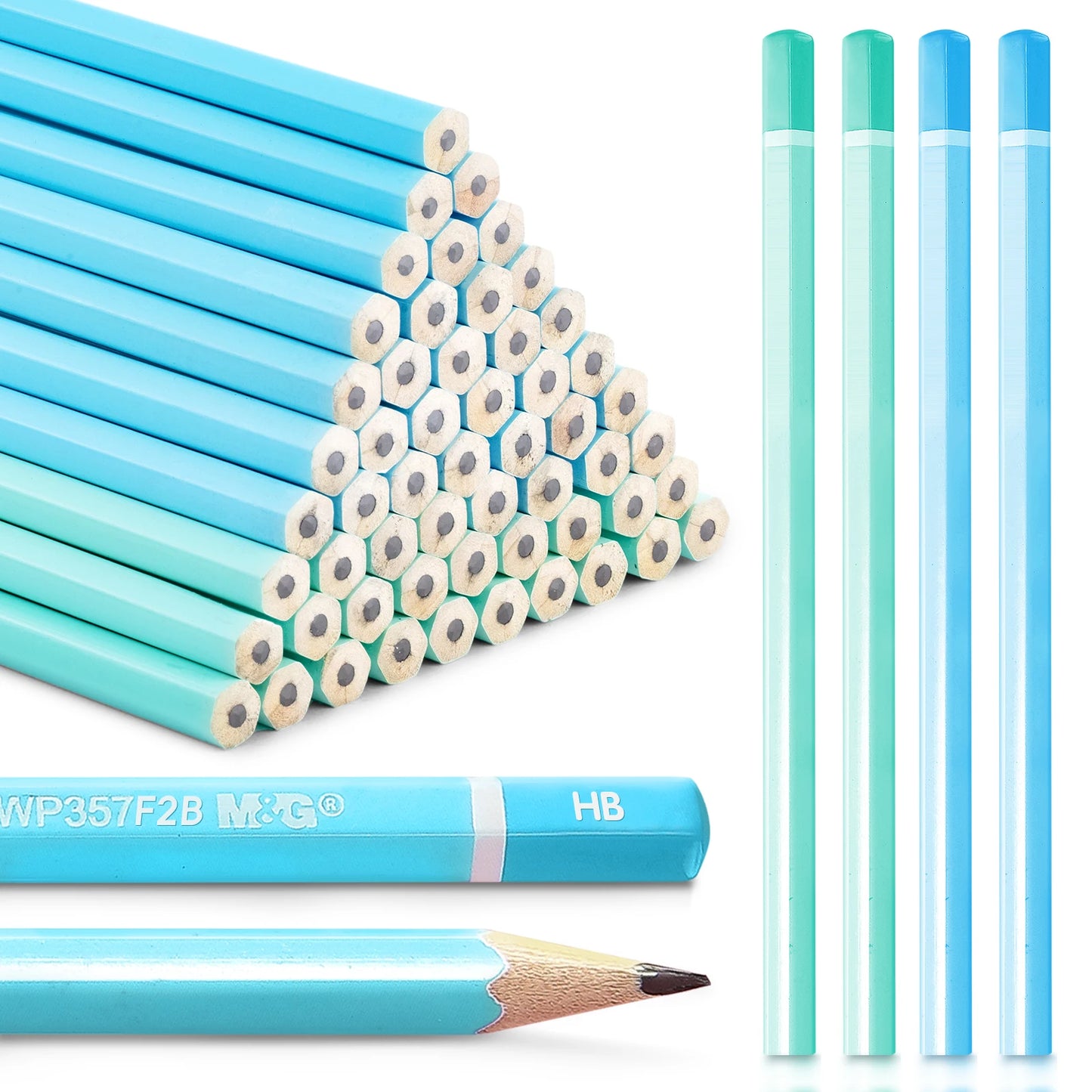 ✏️ Kit 30 Lápis HB/2B Coloridos com Estojo Tubo