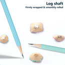 ✏️ Kit 30 Lápis HB/2B Coloridos com Estojo Tubo