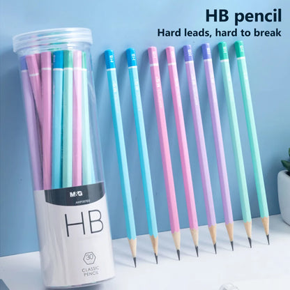 ✏️ Kit 30 Lápis HB/2B Coloridos com Estojo Tubo