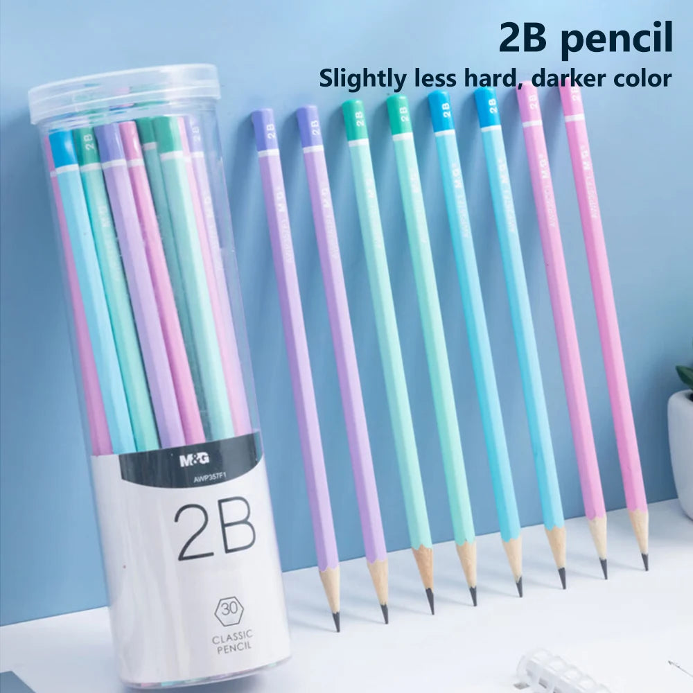 ✏️ Kit 30 Lápis HB/2B Coloridos com Estojo Tubo
