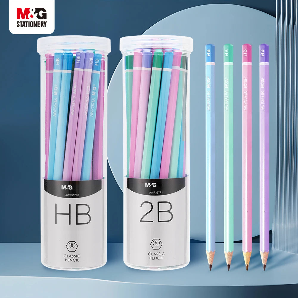 ✏️ Kit 30 Lápis HB/2B Coloridos com Estojo Tubo
