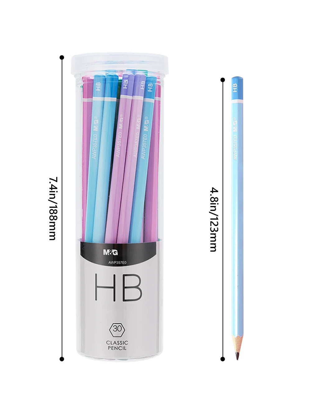 ✏️ Kit 30 Lápis HB/2B Coloridos com Estojo Tubo