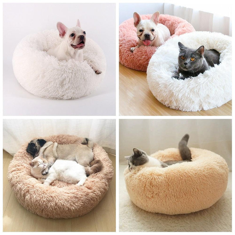 Cama para Gatos - Petra Zoully