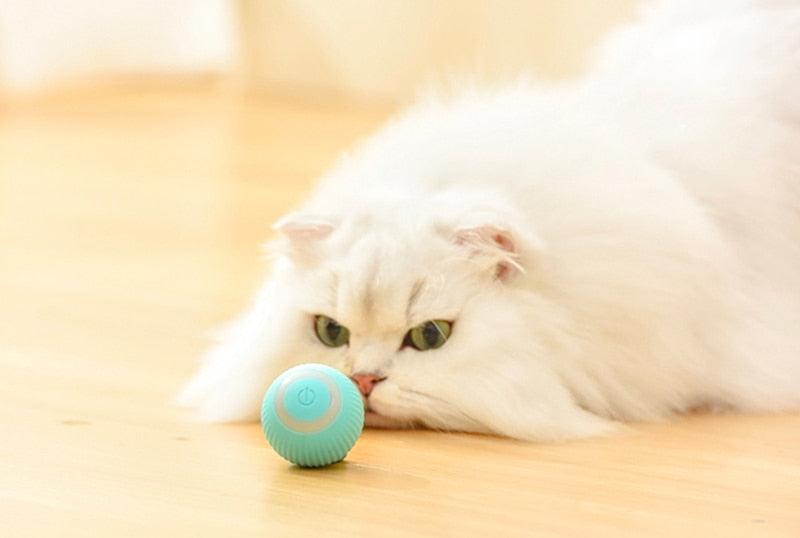 Electric Cat Ball - Brinquedo para Gatos - Petra Zoully