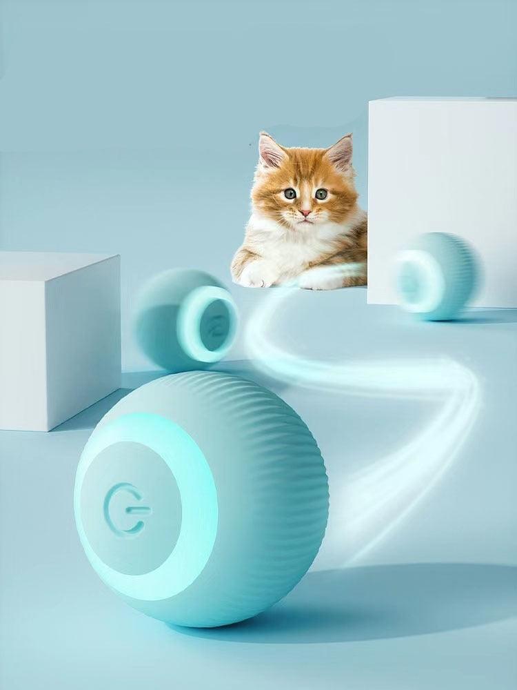 Brinquedos de bola de gato elétricos para jogos interativos internos, gatinhos que se movem sozinhos, treinamento inteligente